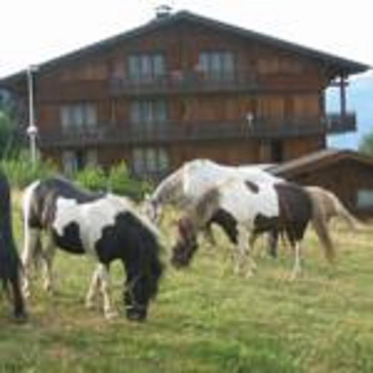 Chalet Gabriel Saint-Gervais-les-Bains Bagian luar foto